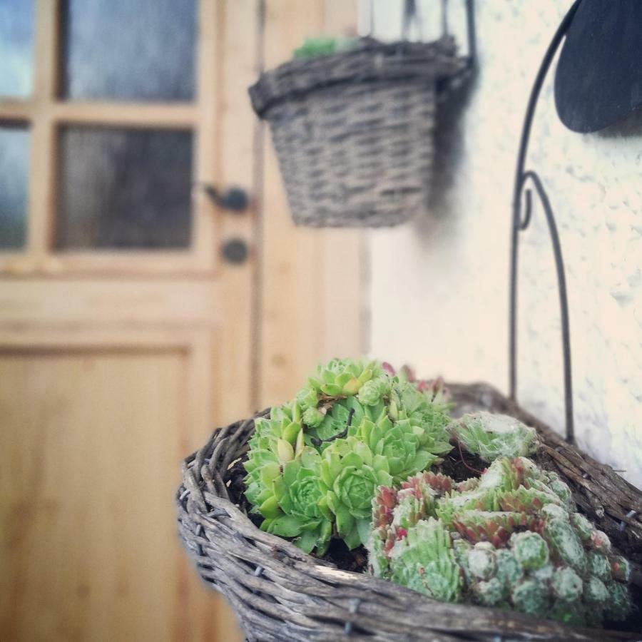Ferienhaus In Der Schlipfing Mit Garten Altmuenster Exterior photo